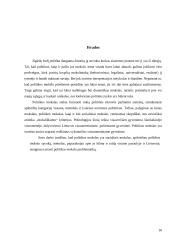 Politikos mokslo kilmė ir raida Lietuvoje 15 puslapis