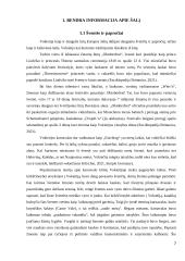 Verslo komunikacijos su Vokietijos šalimi ypatumai 6 puslapis