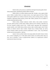 Politinės kultūros samprata Lietuvoje 12 puslapis