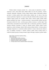 Politinės kultūros samprata Lietuvoje 3 puslapis