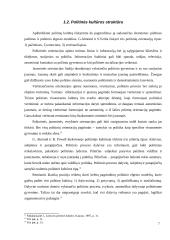Politinės kultūros samprata Lietuvoje 7 puslapis