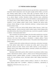 Politinės kultūros samprata Lietuvoje 9 puslapis