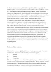 Politinės kultūros sąvoka, struktūra ir tipologija 2 puslapis