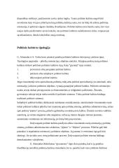 Politinės kultūros sąvoka, struktūra ir tipologija 6 puslapis