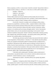 Politinės kultūros sąvoka, struktūra ir tipologija 7 puslapis