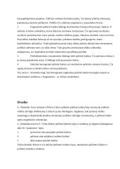 Politinės kultūros sąvoka, struktūra ir tipologija 8 puslapis