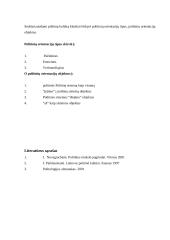 Politinės kultūros sąvoka, struktūra ir tipologija 9 puslapis