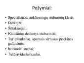 Pristatymas apie paukščius 2 puslapis