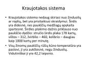 Pristatymas apie paukščius 11 puslapis