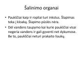 Pristatymas apie paukščius 12 puslapis