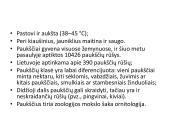 Pristatymas apie paukščius 3 puslapis