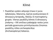 Pristatymas apie paukščius 4 puslapis