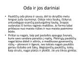 Pristatymas apie paukščius 6 puslapis