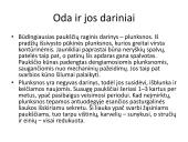 Pristatymas apie paukščius 7 puslapis