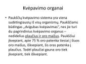 Pristatymas apie paukščius 10 puslapis