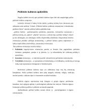 Politinės kultūros apibrėžtis 2 puslapis