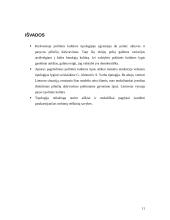 Politinės kultūros apibrėžtis 11 puslapis