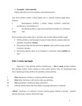 Politinės kultūros apibrėžtis 5 puslapis