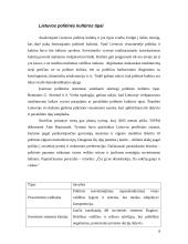 Politinės kultūros apibrėžtis 8 puslapis