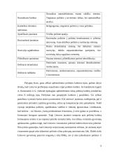 Politinės kultūros apibrėžtis 9 puslapis