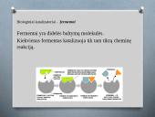 Cheminės reakcijos greitis ir jį lemiantys veiksniai 18 puslapis