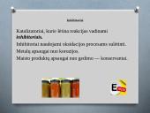 Cheminės reakcijos greitis ir jį lemiantys veiksniai 19 puslapis