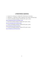 Politinės aplinkos įtaka tarptautiniam verslui 12 puslapis