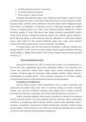 Politinės aplinkos įtaka tarptautiniam verslui 7 puslapis