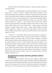 Politinės kultūros tipai 3 puslapis