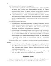 Infliacija Lietuvoje 2018 – 2020 metais 4 puslapis