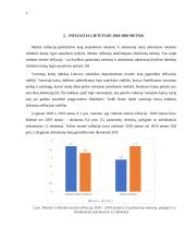 Infliacija Lietuvoje 2018 – 2020 metais 6 puslapis