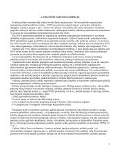 Politinės partijos ir jų samprata 3 puslapis