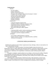 Politinės partijos ir jų samprata 6 puslapis