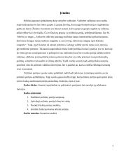 Politinės partijos: paskirtis, funkcijos, modeliai 3 puslapis