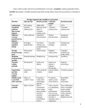 Politinės partijos: paskirtis, funkcijos, modeliai 8 puslapis