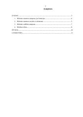 Politinės sistemos samprata ir  jos funkcijos 2 puslapis