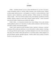 Politinės sistemos samprata ir  jos funkcijos 3 puslapis