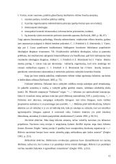 Demokratiniai ir nedemokratiniai politiniai režimai 12 puslapis