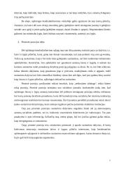 Politinis liberalizmas 6 puslapis