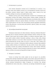 Politinis liberalizmas 8 puslapis