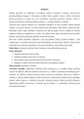 Politinis lyderis ir jo įvaizdžio kūrimas 3 puslapis