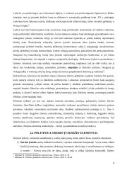 Politinis lyderis ir jo įvaizdžio kūrimas 8 puslapis