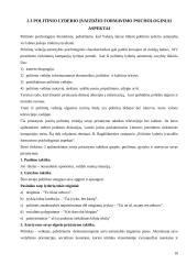 Politinis lyderis ir jo įvaizdžio kūrimas 10 puslapis