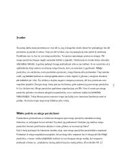 Miego paralyžius 2 puslapis