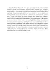 Politinis režimas: samprata ir tipologija 13 puslapis