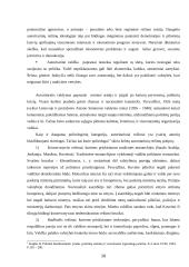 Politinis režimas: samprata ir tipologija 16 puslapis