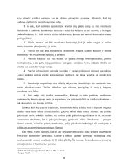 Politinis režimas: samprata ir tipologija 8 puslapis