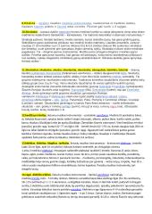 Lietuvių liaudies instrumentų konspektas 2 puslapis