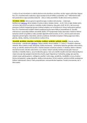 Lietuvių liaudies instrumentų konspektas 3 puslapis