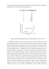 Populiacija 15 puslapis